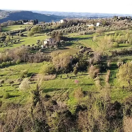 Celeste Erard 玛奥拉蒂斯蓬蒂​​尼